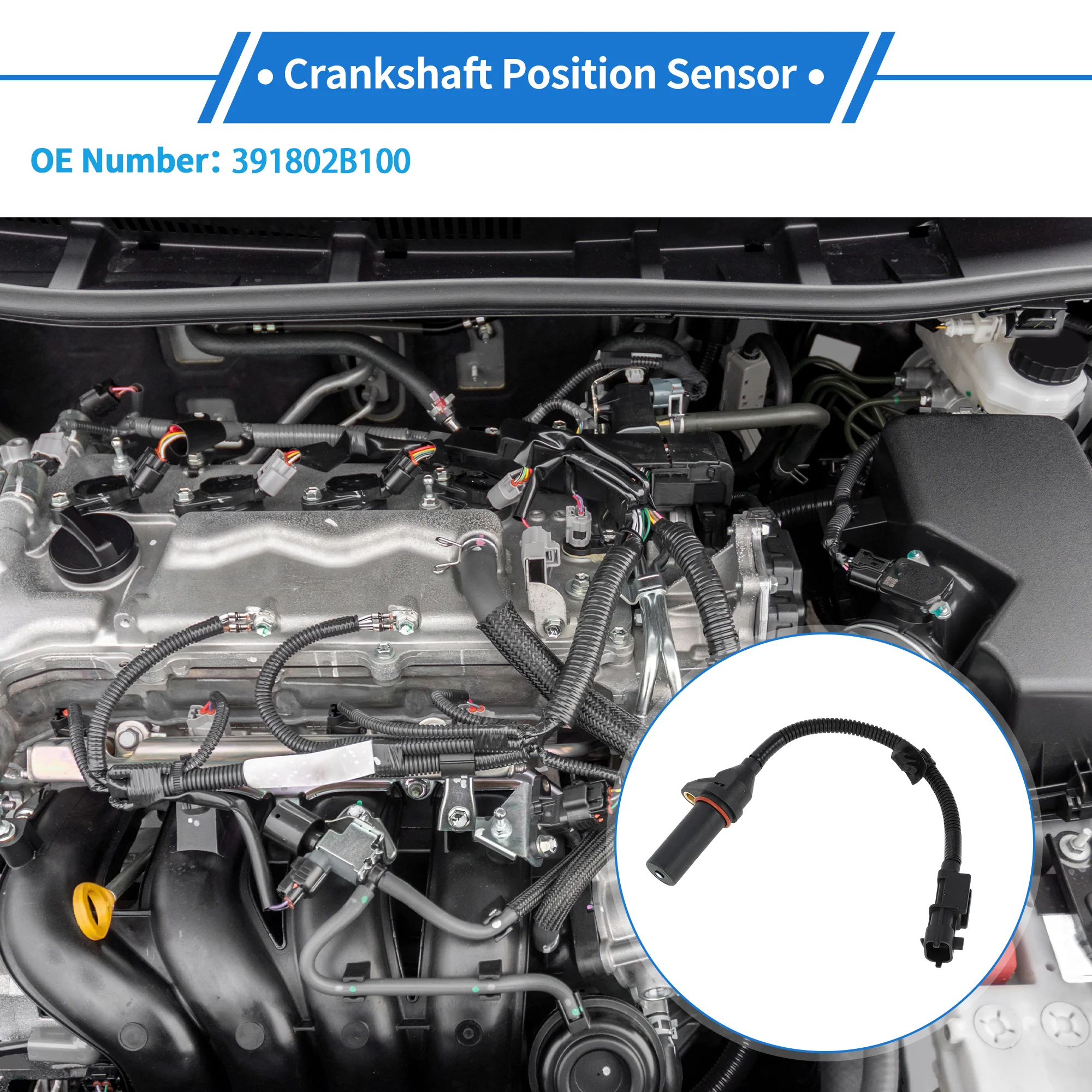 1 Pc Crankshaft Position Sensor for HYUNDAI Veloster 1.6 GDI 2011-2017 Sturdy Metal Plastic Black Engine Crank CKP Sensor - Image 3