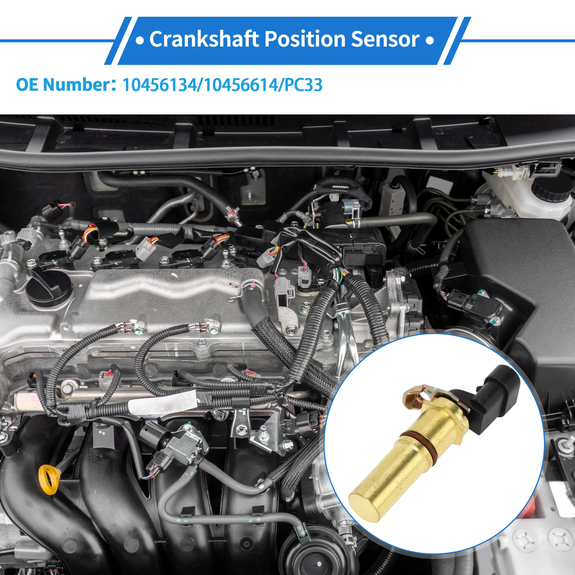 1 Pc Crankshaft Position Sensor for Chevrolet Beretta Base 2.2 1994-1996 Sturdy Metal Plastic Black Gold Tone Engine Crank CKP Sensor - Image 3