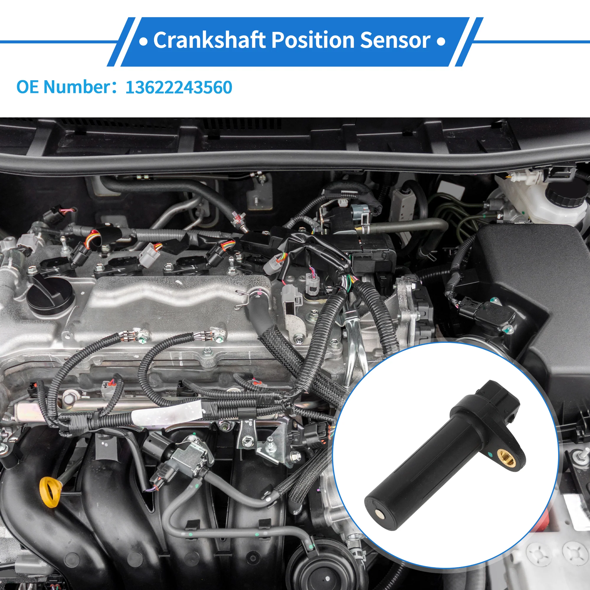 1 Pc Crankshaft Position Sensor for BMW E46 320d 2.0 1998-2001 Sturdy Metal Plastic Black Engine Crank CKP Sensor - Image 3