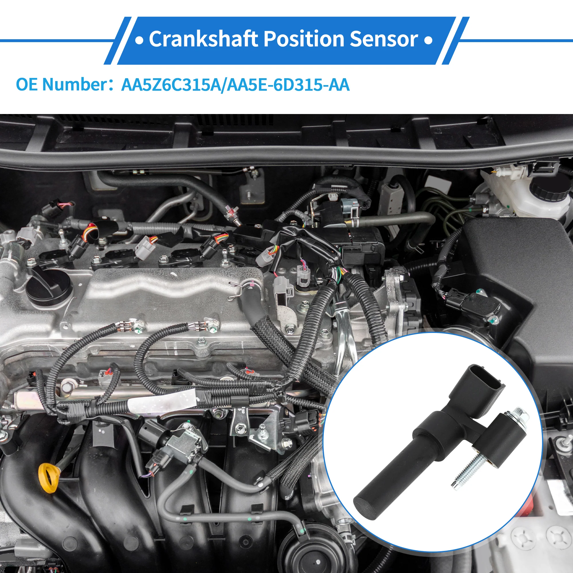 1 Pc Crankshaft Position Sensor for Ford F-150 3.5 3.7 2011-2017 Sturdy Metal Plastic Black Engine Crank CKP Sensor - Image 3