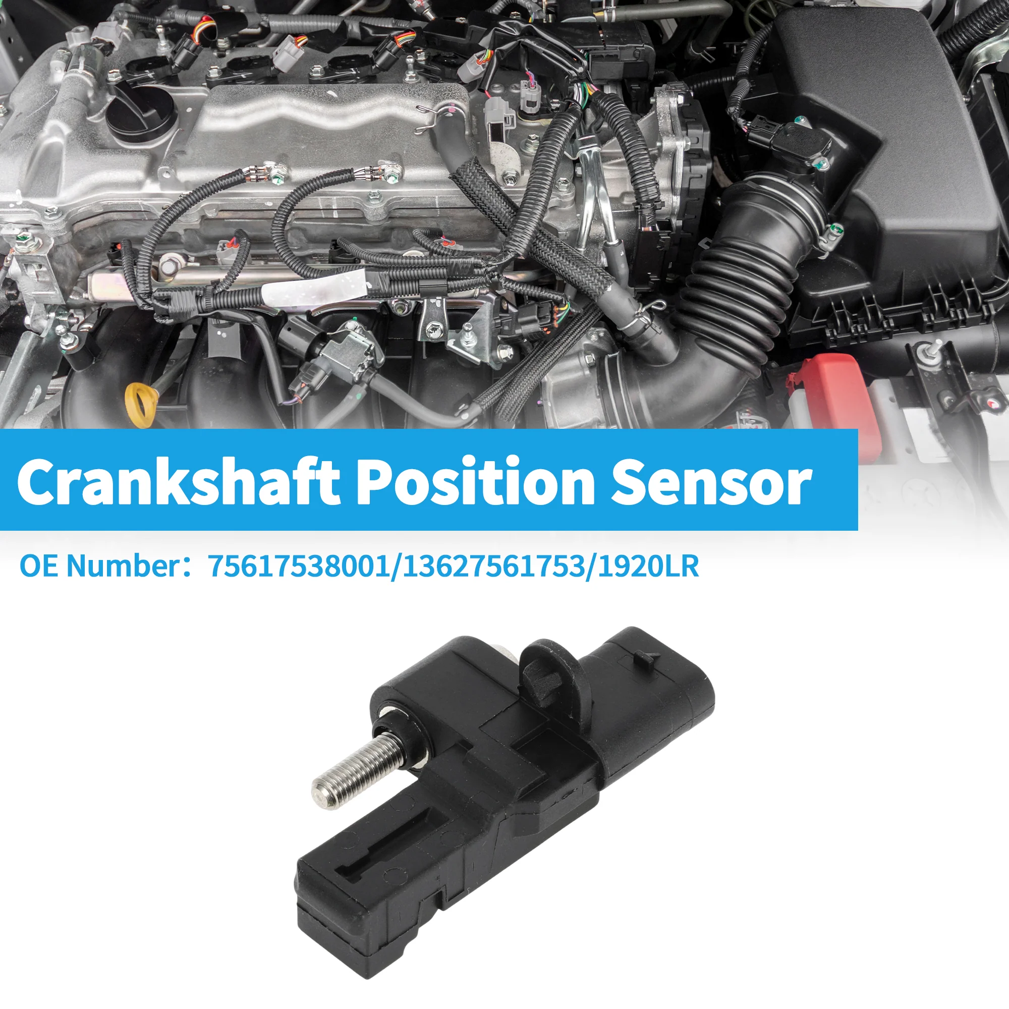 1 Pc Crankshaft Position Sensor for Mini Cooper R56 Base 1.6 07-15 Sturdy Metal Plastic Black Engine Crank CKP Sensor - Image 2