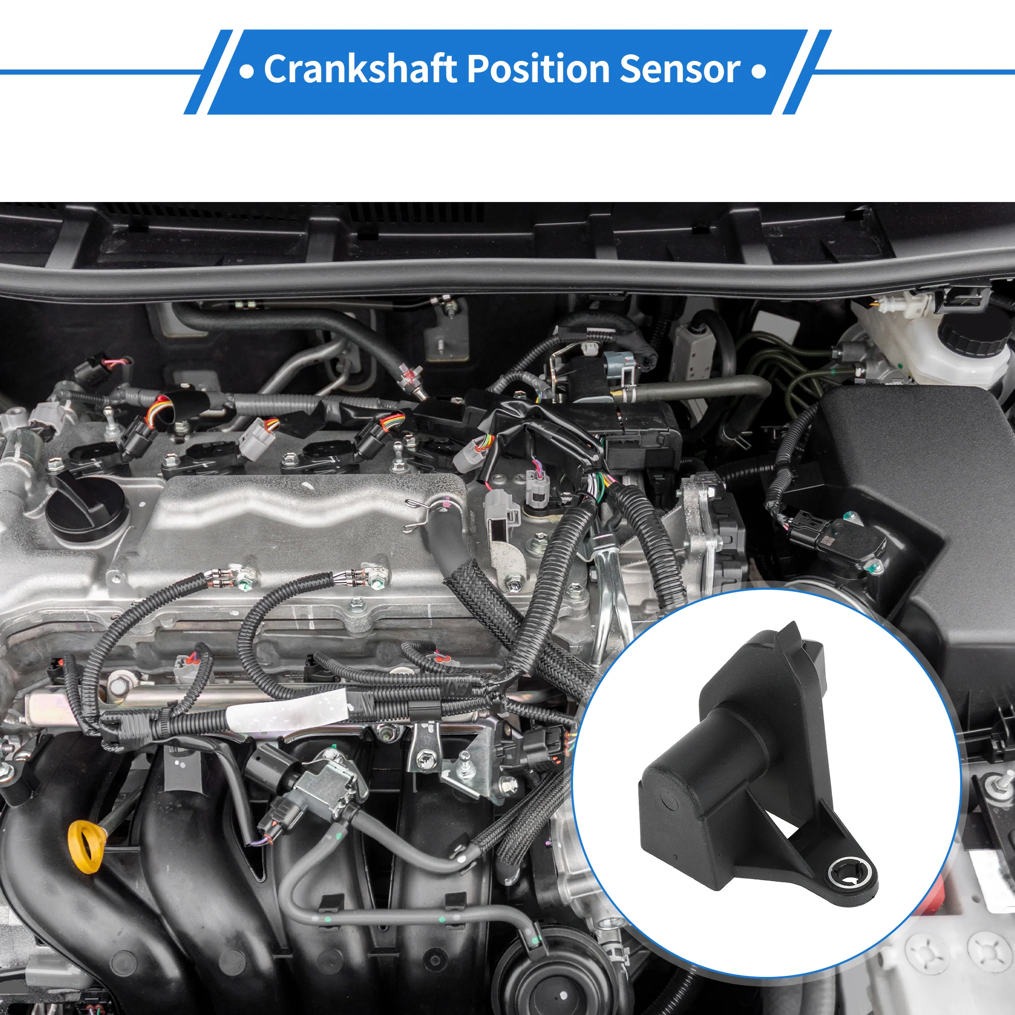 1 Pc Crankshaft Position Sensor for Ford for Ranger Explorer 1997-2011 PC250 Sturdy Metal Plastic Black Engine Crank CKP Sensor - Image 3