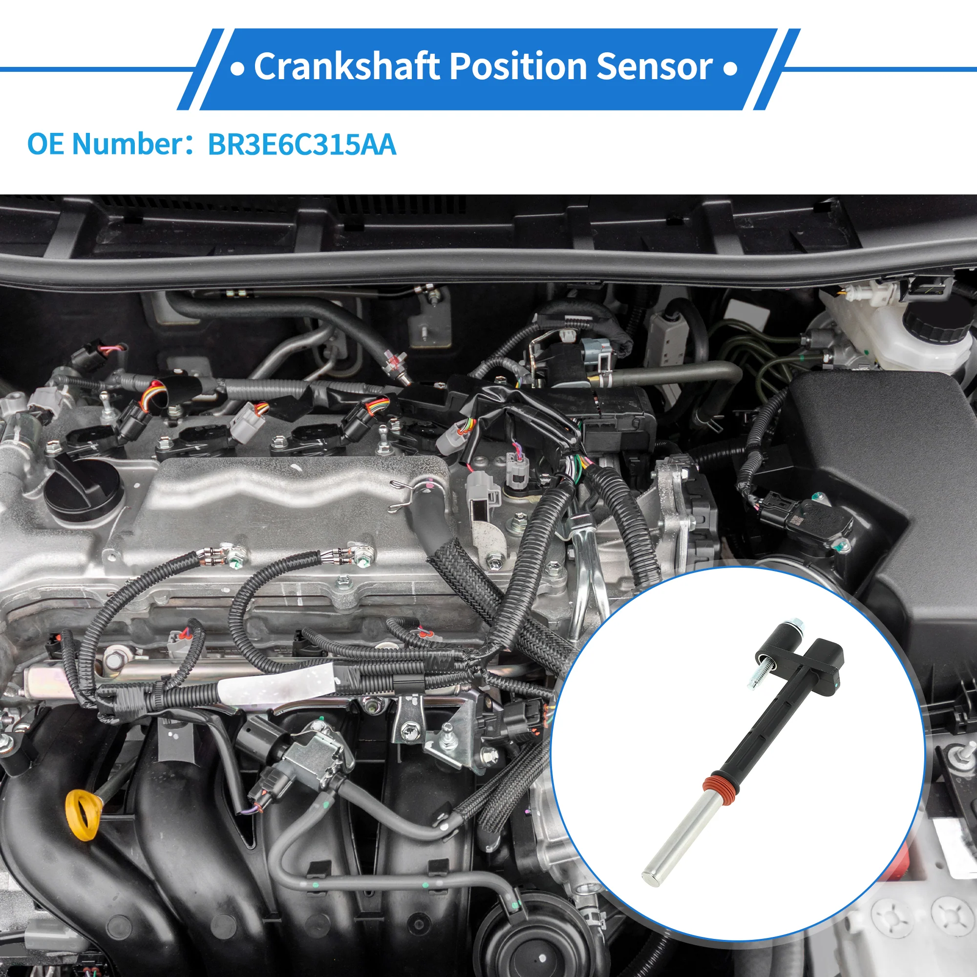 1 Pc Crankshaft Position Sensor for Ford F-150 5.0L 2011-2017 Sturdy Metal Plastic Black Engine Crank CKP Sensor - Image 3
