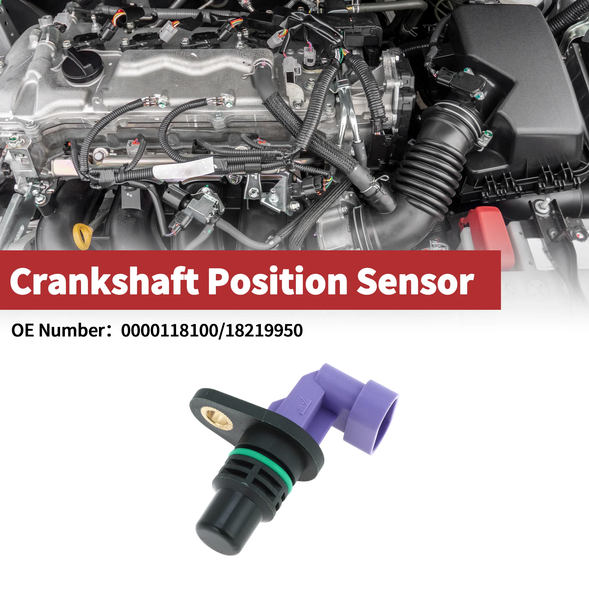 1 Pc Crankshaft Position Sensor for Claas Combine Harvester Engine Crank CKP Sensor No.0000118100/18219950 Black Purple Metal Plastic - Image 2