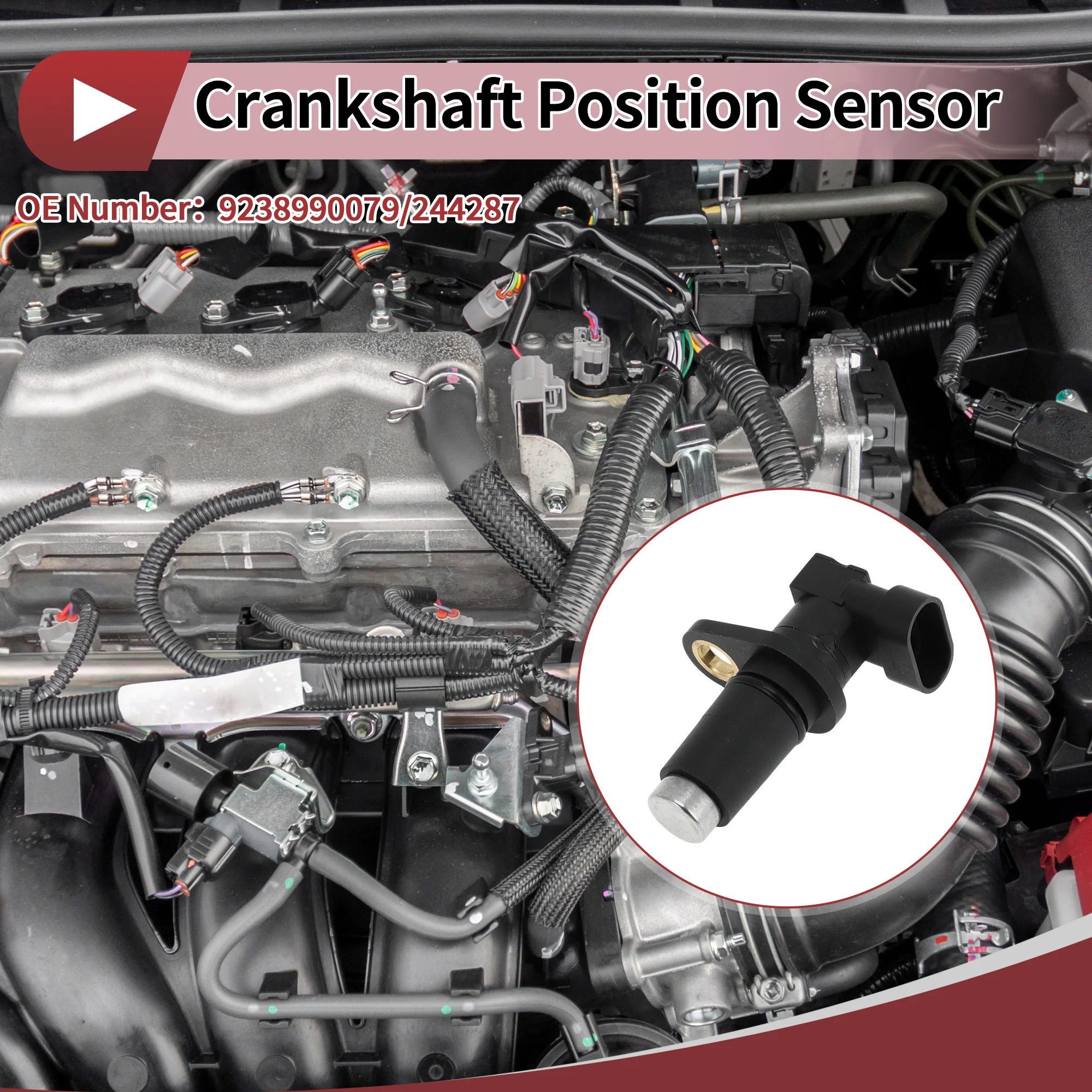 1 Pc Crankshaft Position Sensor for Doosan Loader Engine Crank CKP Sensor No.9238990079/244287 Black Metal Plastic - Image 3