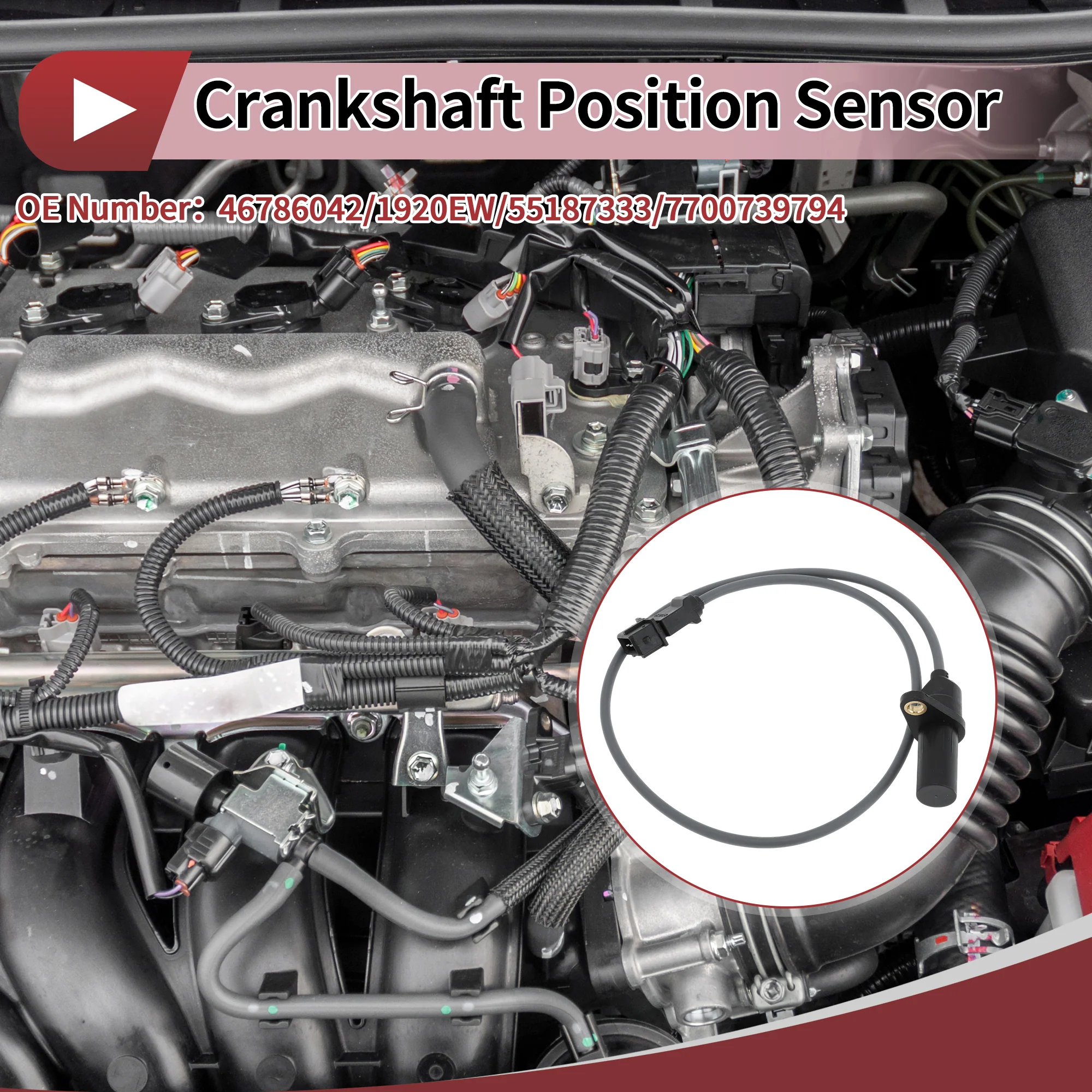 1 Pc Crankshaft Position Sensor for FIAT Punto 1.2 60 94-99 Engine Crank CKP Sensor No.46786042 Black Metal Plastic - Image 3