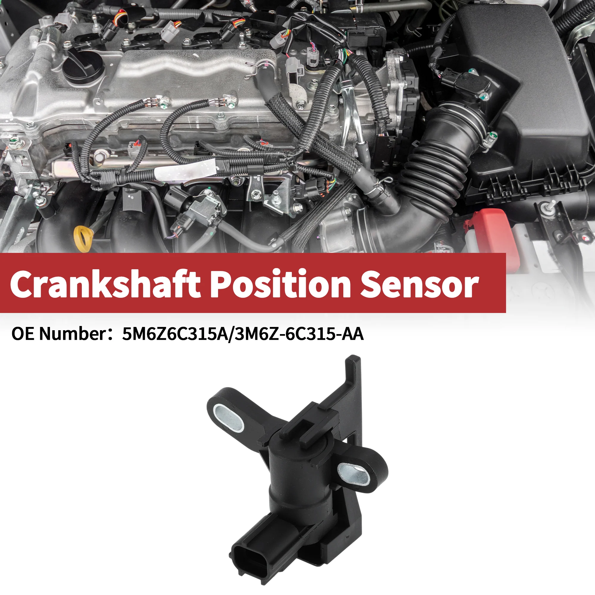 1 Pc Crankshaft Position Sensor for Ford Escape 2.5 2009-2019 Engine Crank CKP Sensor No.5M6Z6C315A Black Metal Plastic - Image 2
