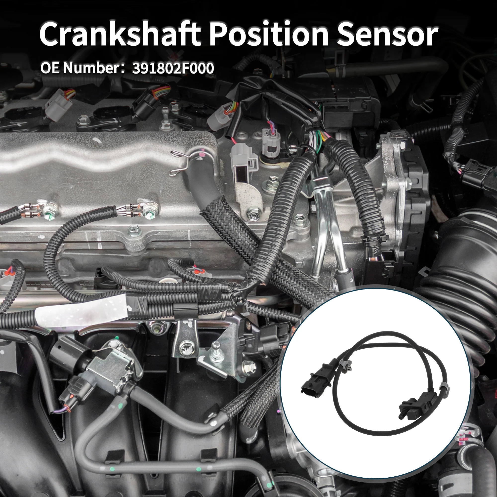 Crankshaft Position Sensor for HYUNDAI Santa Fe cm 2.0 CRDi 09-12 Sturdy No.391802F000 Engine Crank CKP Sensor Black 1 Pc - Image 3