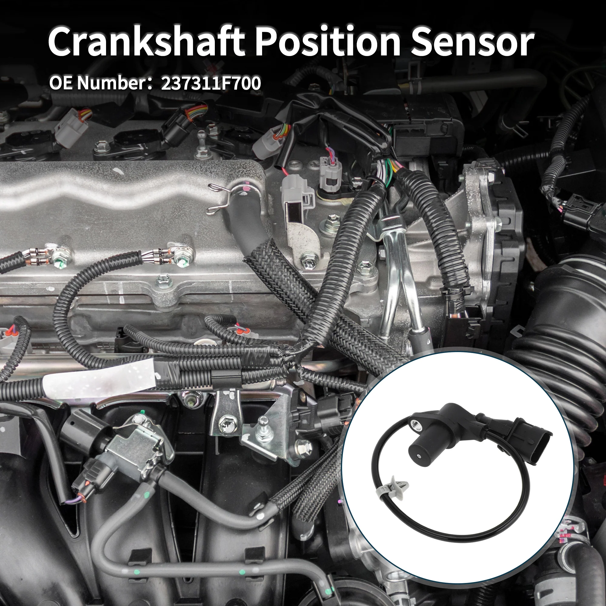 Crankshaft Position Sensor for NISSAN Micra K11 1.4i 16V 00-03 Sturdy No.237311F700 Engine Crank CKP Sensor Black 1 Pc - Image 3