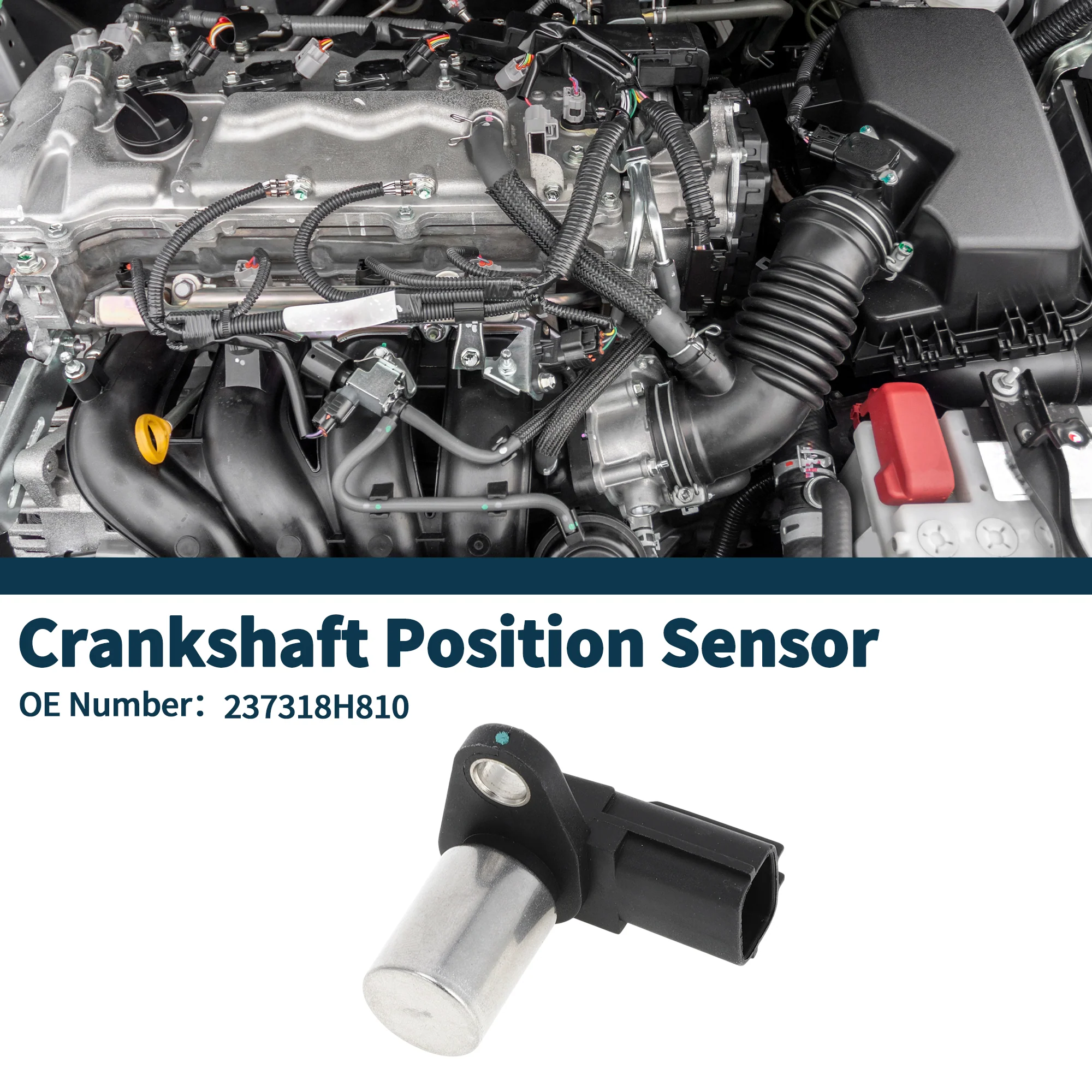 Crankshaft Position Sensor for NISSAN X-Trail 2.2DCi 01-04 Sturdy No.237318H810 Engine Crank CKP Sensor Black 1 Pc - Image 2