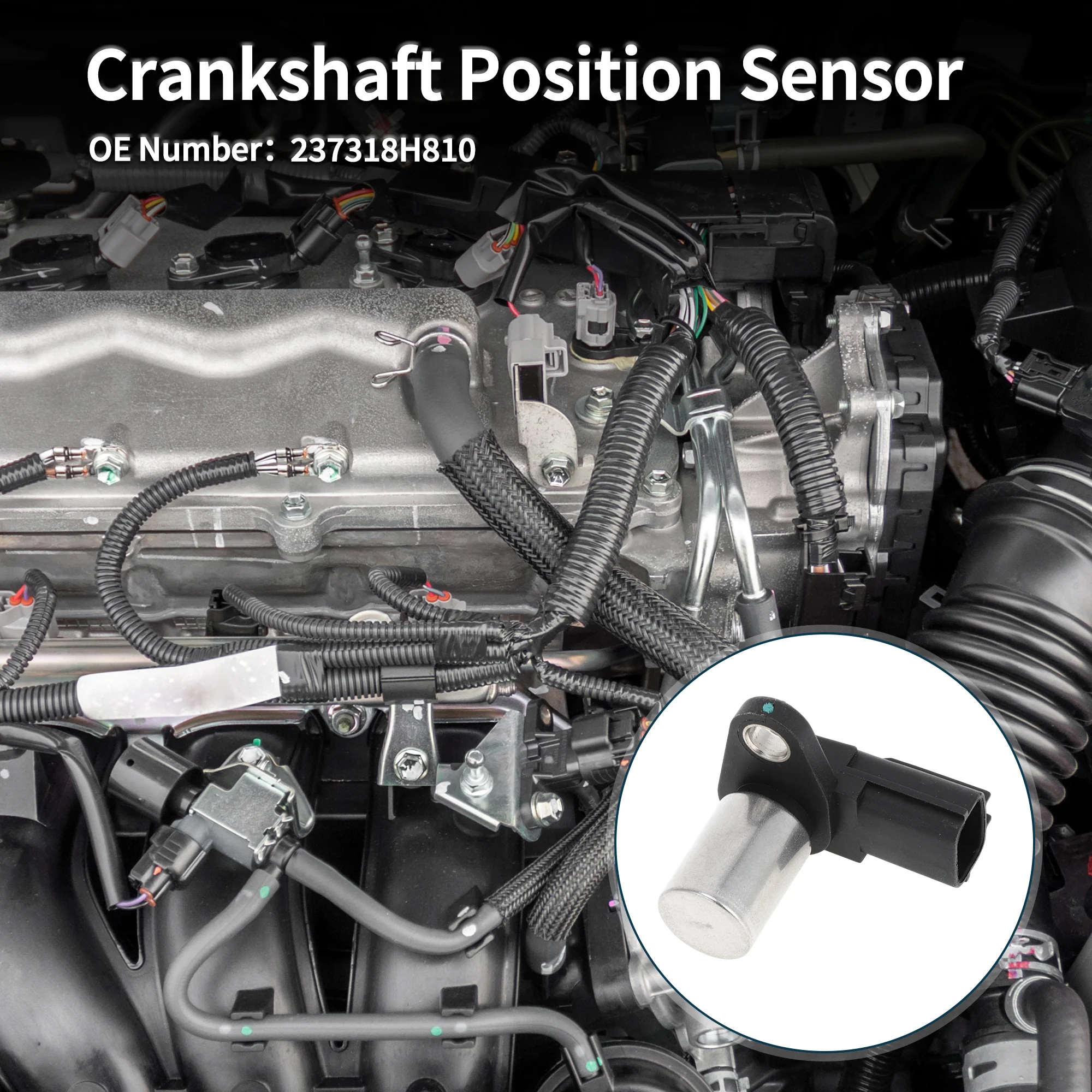 Crankshaft Position Sensor for NISSAN X-Trail 2.2DCi 01-04 Sturdy No.237318H810 Engine Crank CKP Sensor Black 1 Pc - Image 3