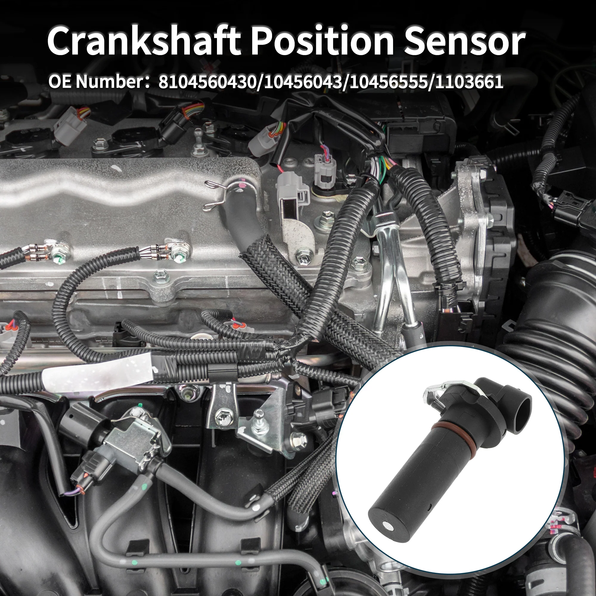 Crankshaft Position Sensor for Chevrolet Impala 3.4 2000-2005 Sturdy No.8104560430 Engine Crank CKP Sensor Black 1 Pc - Image 3