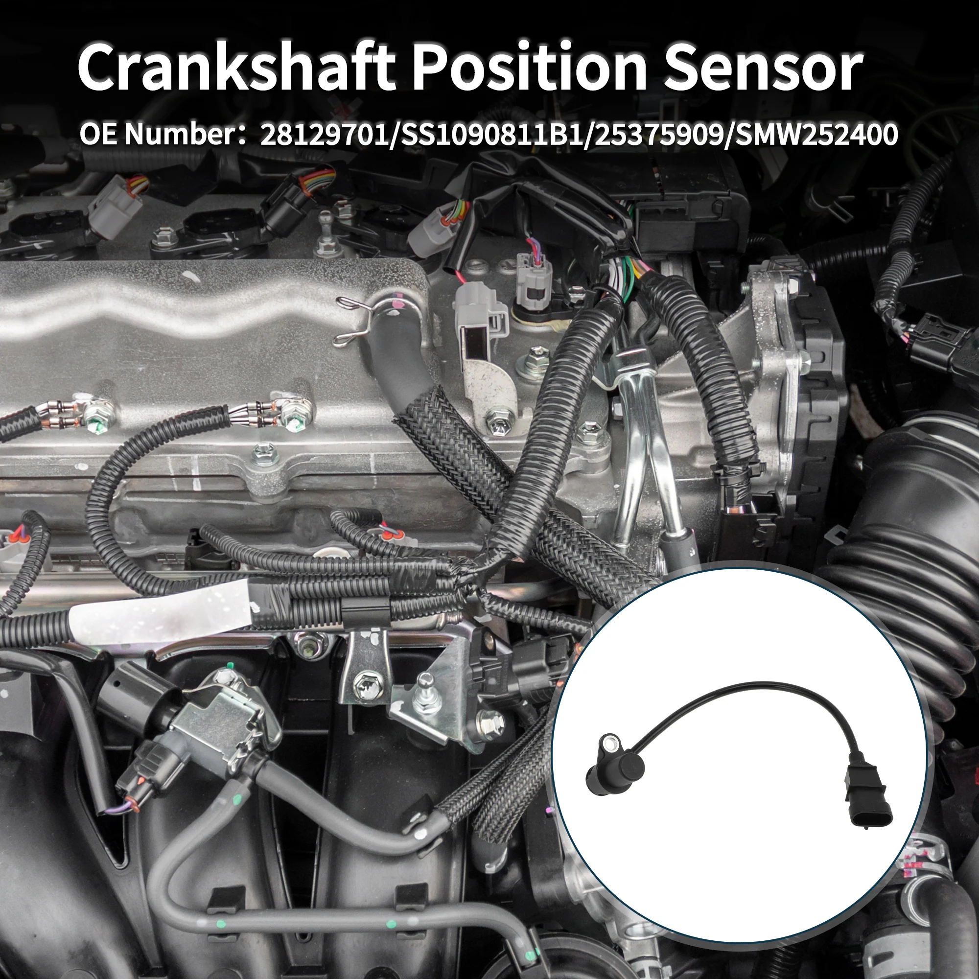 Crankshaft Position Sensor for Great Wall for HAVAL Sturdy No.28129701 Engine Crank CKP Sensor Black 1 Pc - Image 3