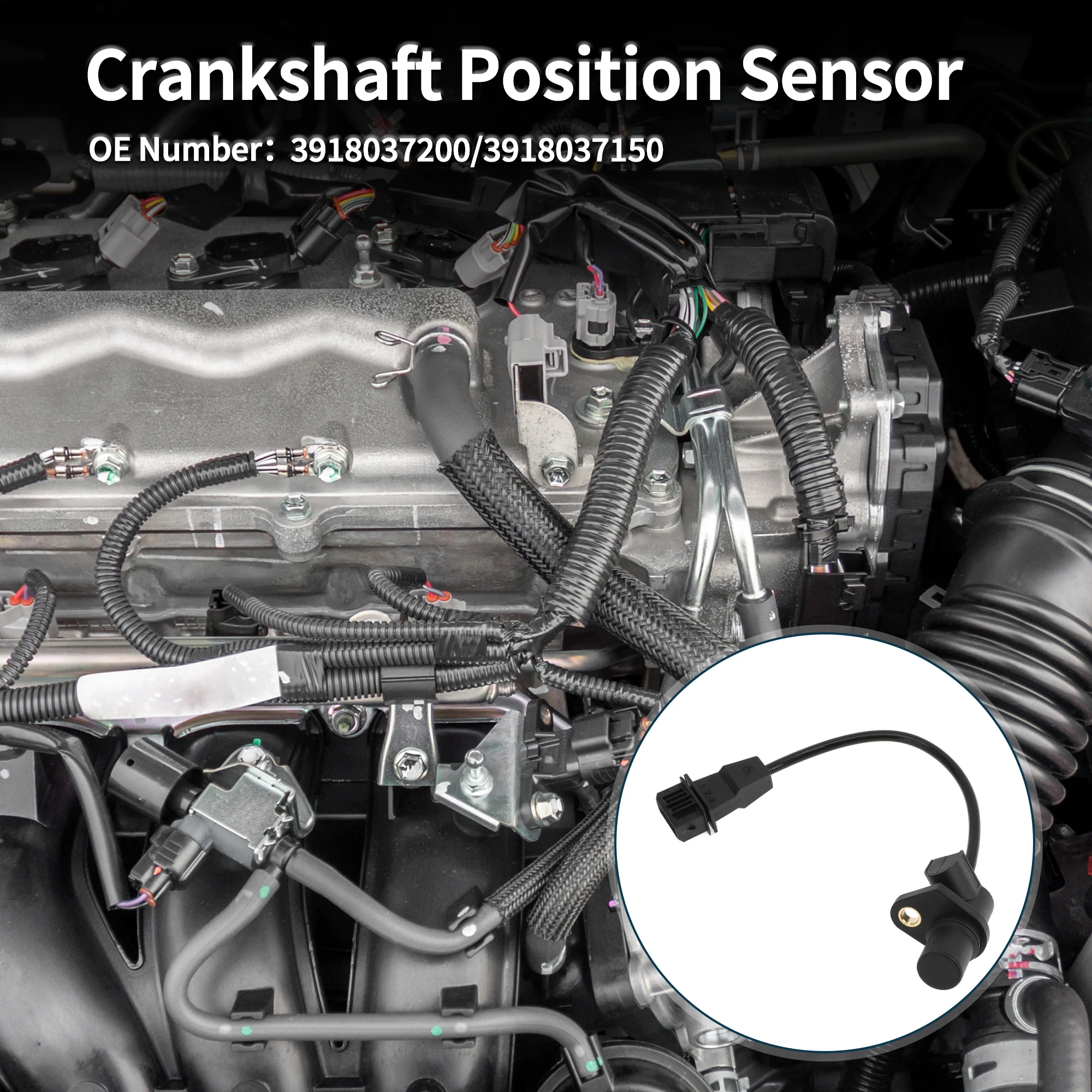 Crankshaft Position Sensor for Hyundai Santa Fe GLS 2.7 01-06 Sturdy No.3918037200 Engine Crank CKP Sensor Black 1 Pc - Image 3