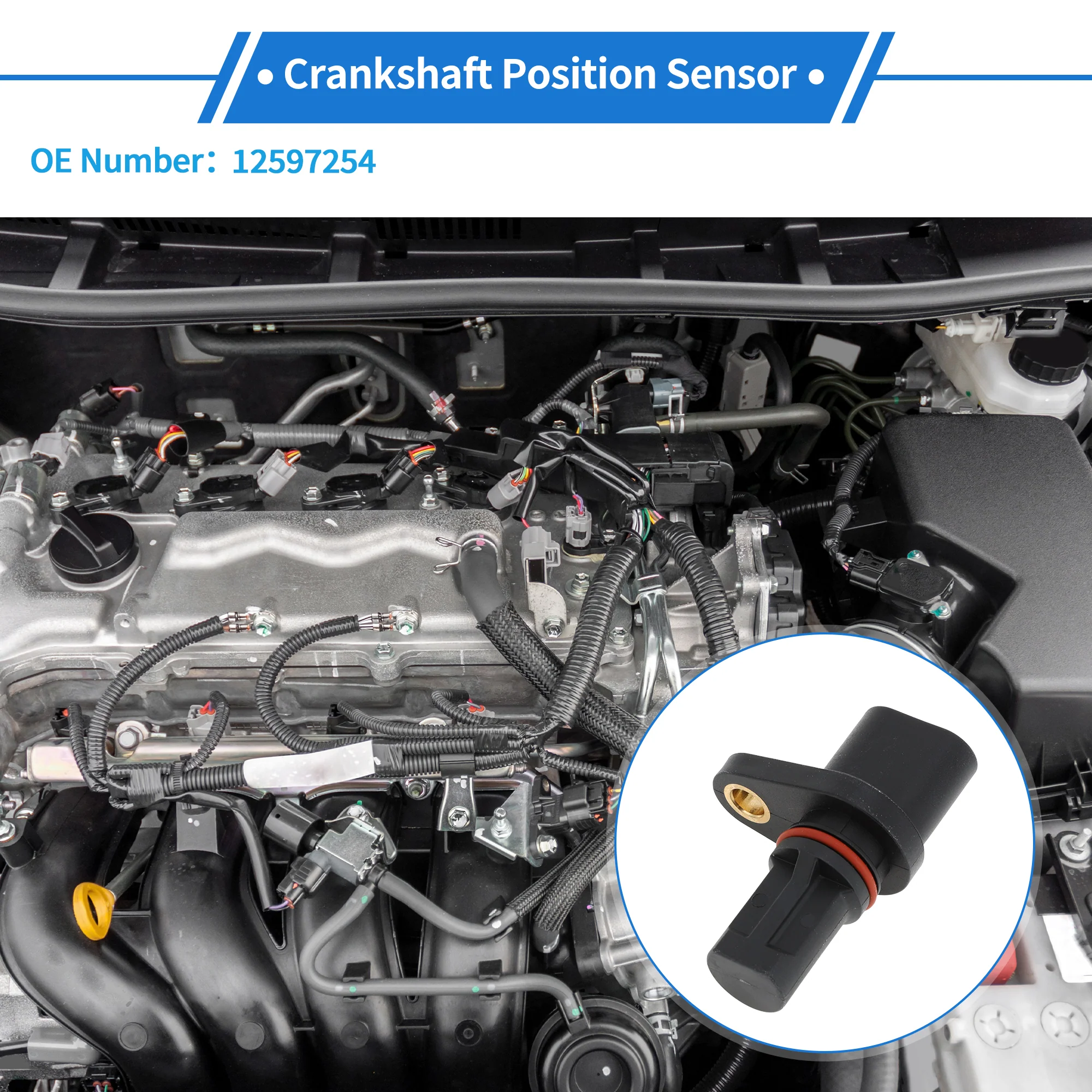 Crankshaft Position Sensor for GMC Envoy 4.2 2008-2009 No.12597254 1 Pc Black - Image 2