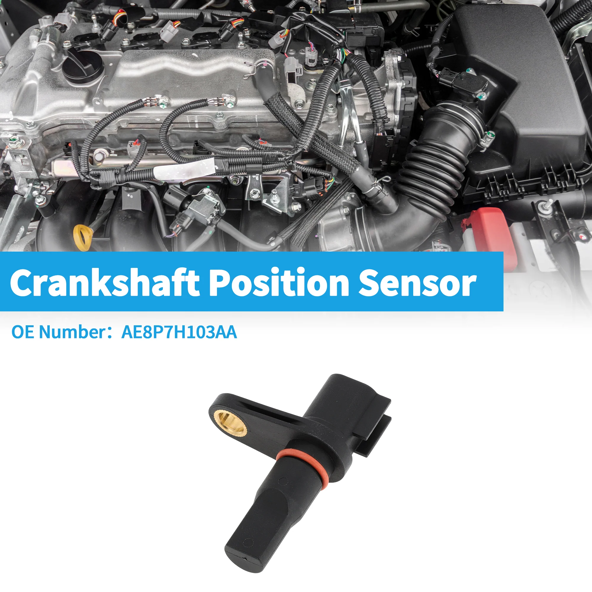 1 Pc Crankshaft Position Sensor for Ford C-MAX 2014-2016 Sturdy Metal Plastic Black Engine Crank CKP Sensor - Image 2